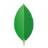 MongoDB